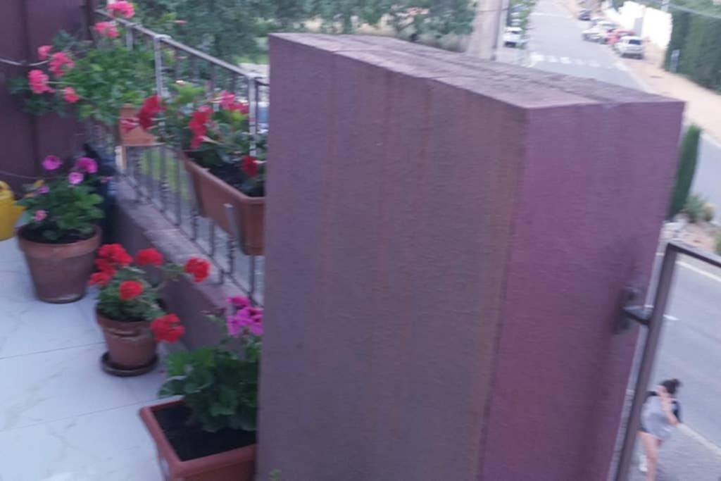 Vacaciones * Palafrugell